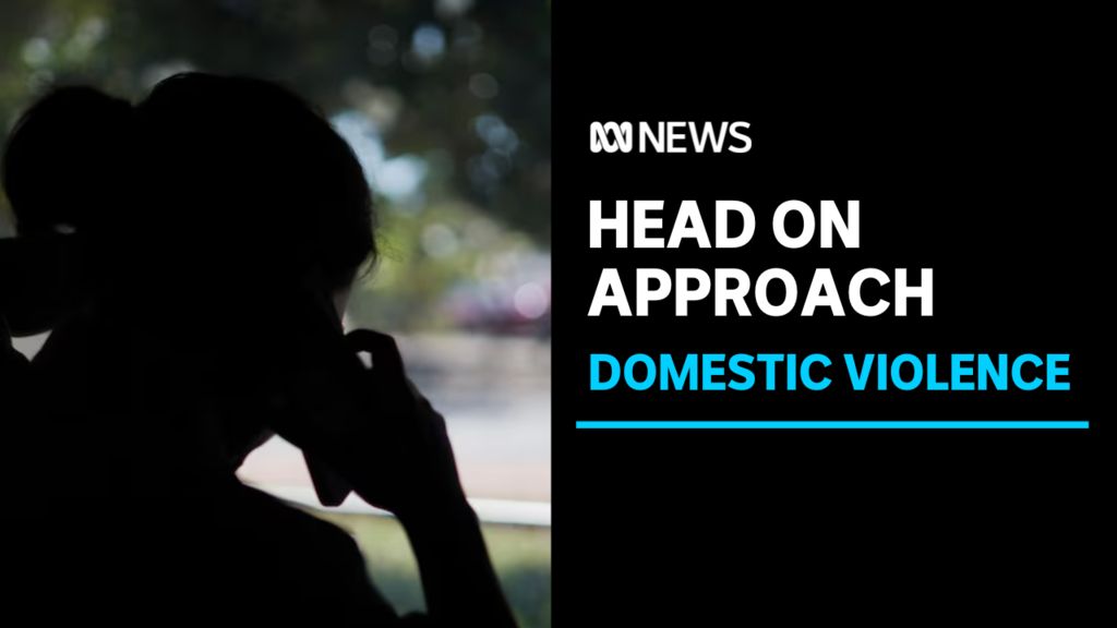 New program hopes to tackle domestic violence in Alice Springs - ABC News
