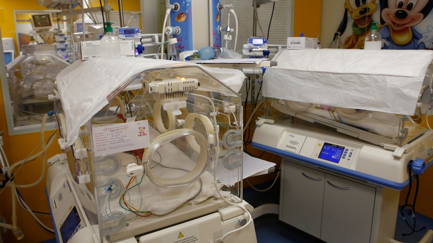 An incubator in a hospital ward 