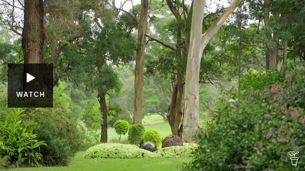 A large, open garden with tall eucalypts in the background. Has Video.
