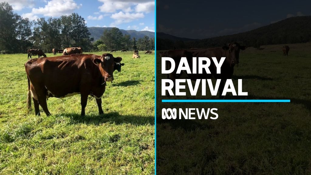 Higher Milk Prices, Weather Crucial To Dairy Farm Revival - ABC News