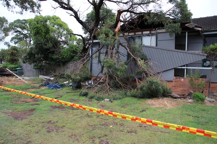 Fallen tree on house sectioned off with security tape