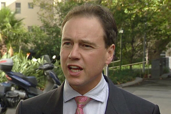 Opposition Environment Spokesman Greg Hunt (File image)
