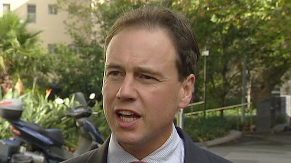 Greg Hunt has accused the Commonwealth of 'turning its back' on clean energy.