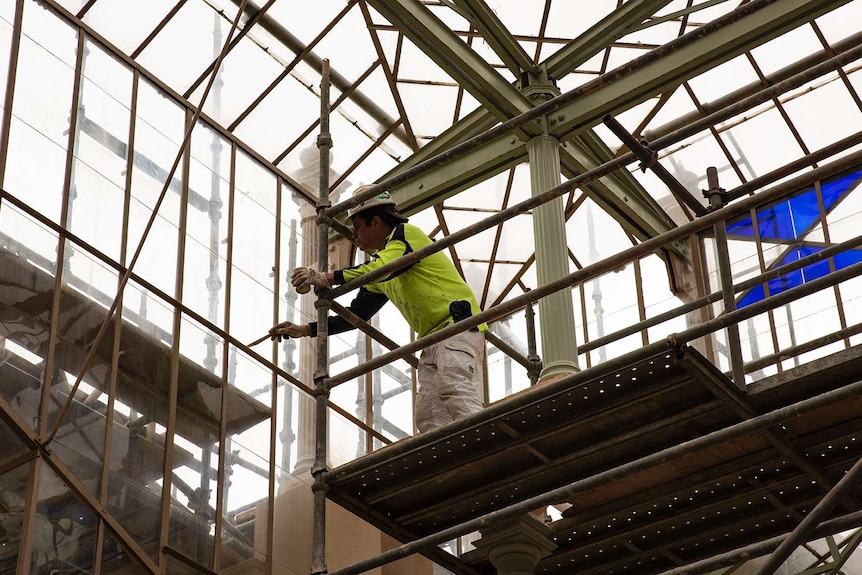 Painter at work inside the Adelaide palm house