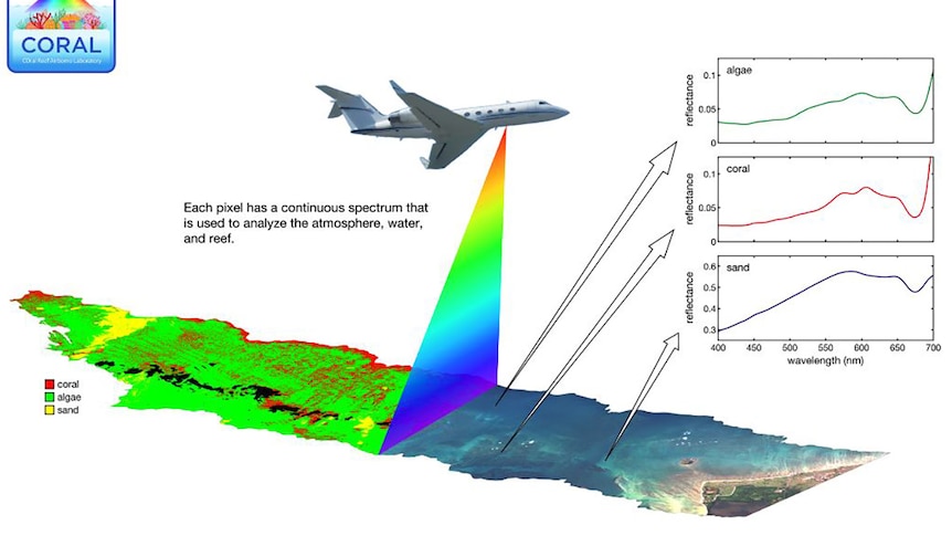 A diagram of the plane surveying a section of the reef
