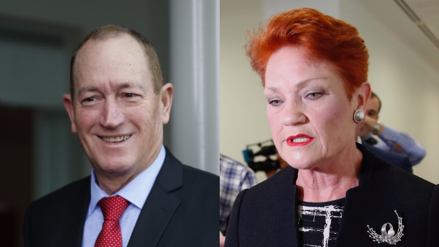 A composite image shows Senator Fraser Anning smileing, and Senator Pauline Hanson talking.