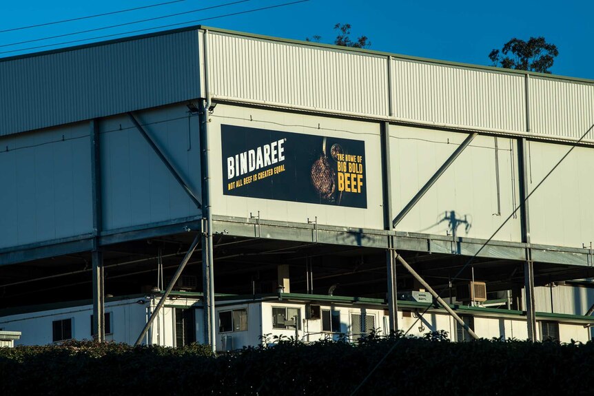A large shed bearing a sign which says "Bindaree: Not all beef is created equal" and "the home of big bold beef"