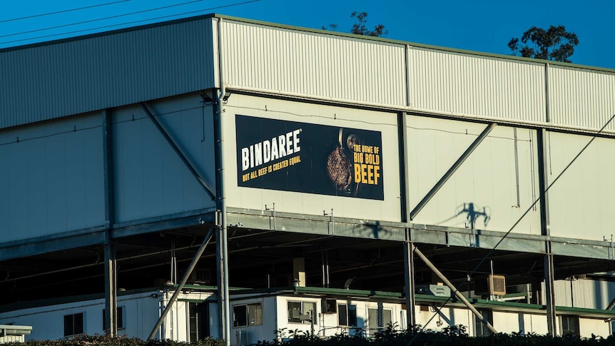 A large shed bearing a sign which says "Bindaree: Not all beef is created equal" and "the home of big bold beef"