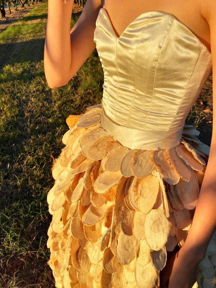 Mango Dress Made From 700 Seeds A Four Month Labour Of Love By Teenager To Highlight Waste Abc News