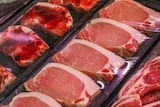 Pork chops on display at butcher, no prices