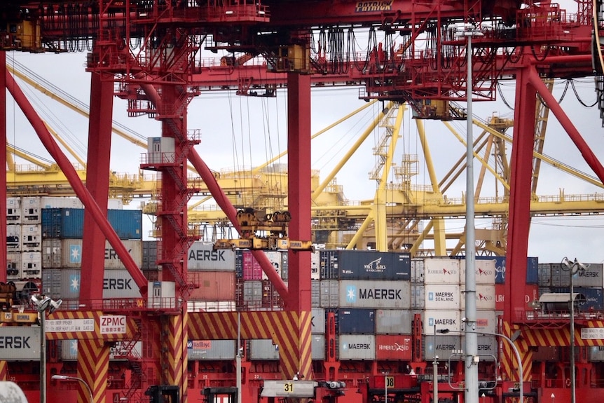 Containers sit underneath cranes at Port Botany