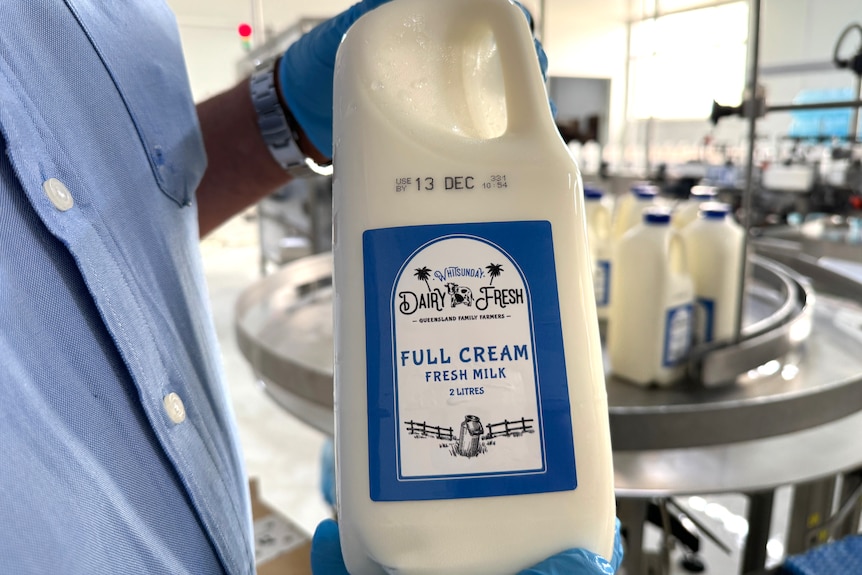 Hands hold up a two litre bottle of milk in a factory.