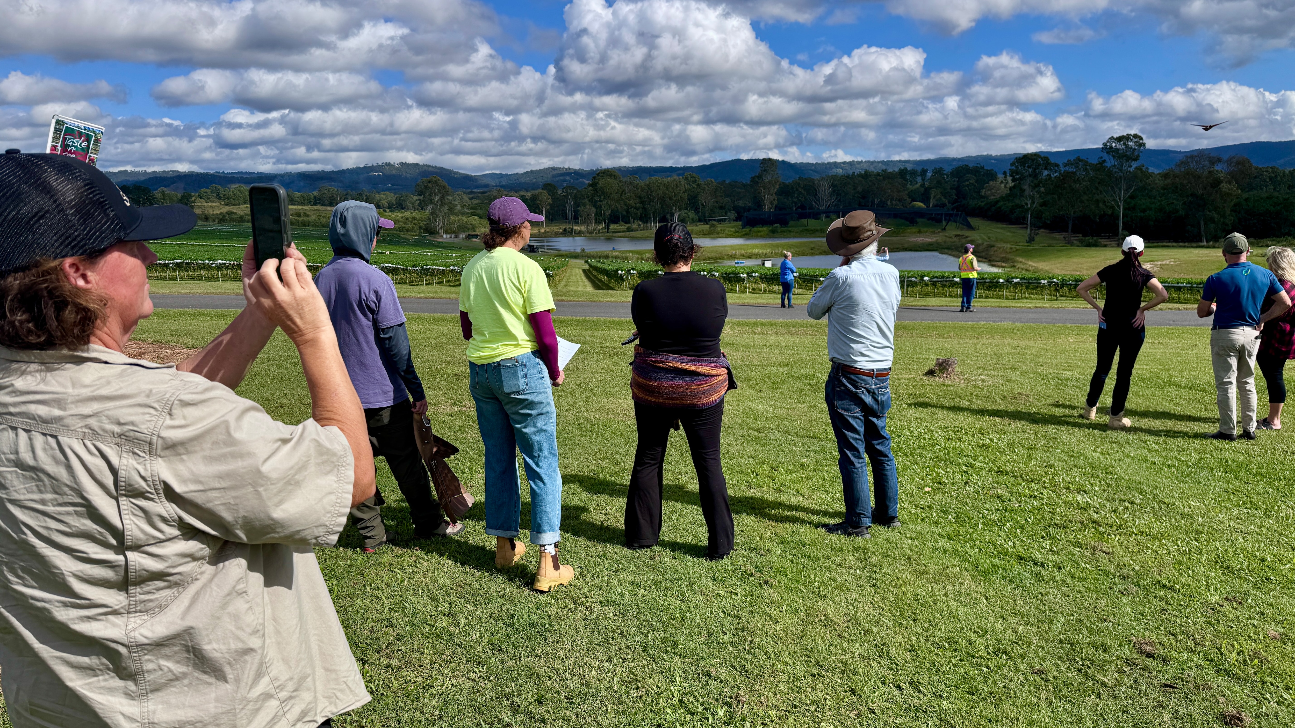 Lots of people standing around looking towards a strawberry field and a tiny drone in the air.