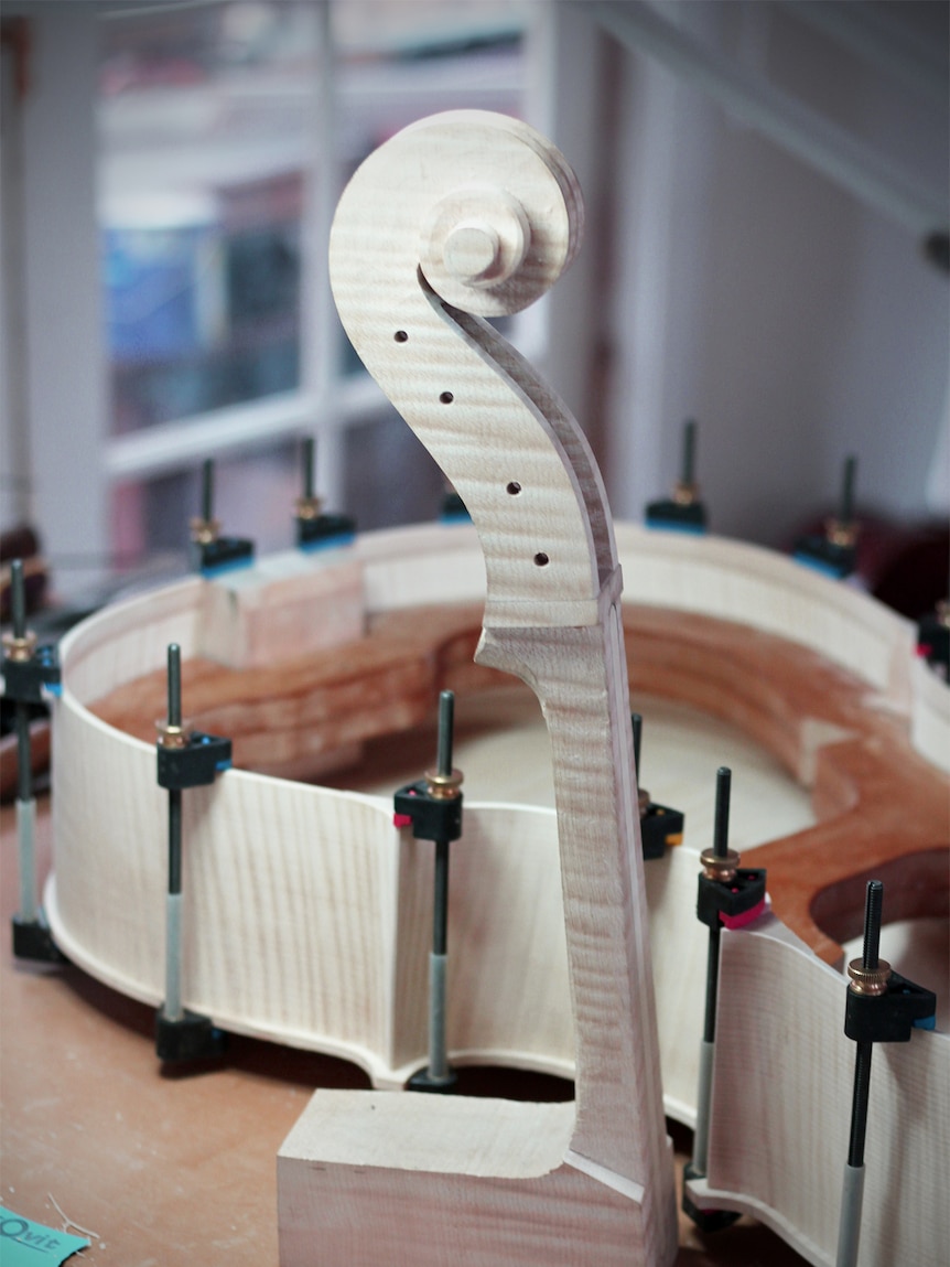 An unfinished violin scroll, neck and instrument body sits on a work bench.