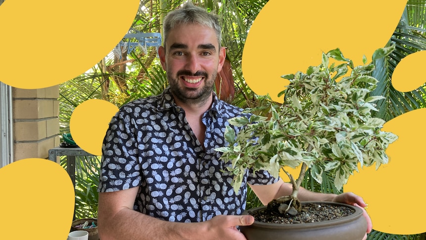 Lawson holds his bonsai tree.