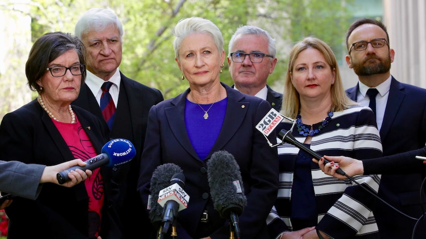 Ms McGowan, Mr Katter, Dr Phelps, Mr Wilkie, Ms Sharkie and Mr Bandt stand in the courtyard, around a set of microphones.