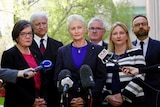 Ms McGowan, Mr Katter, Dr Phelps, Mr Wilkie, Ms Sharkie and Mr Bandt stand in the courtyard, around a set of microphones.