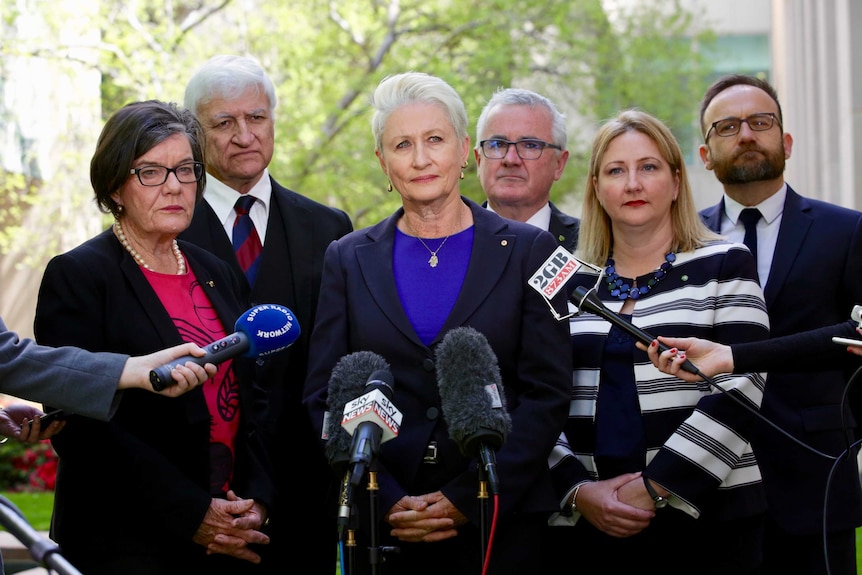 Ms McGowan, Mr Katter, Dr Phelps, Mr Wilkie, Ms Sharkie and Mr Bandt stand in the courtyard, around a set of microphones.