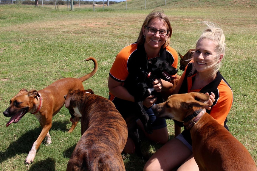 Two women play with some dogs on the grass