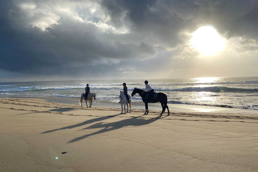 Three people ride on the beach on horses