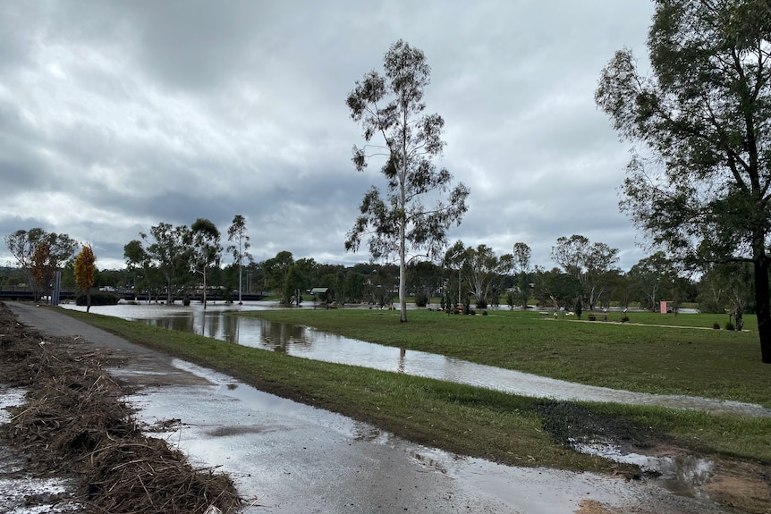 Water in low-lying parks of Warwick. Debris visible on paths