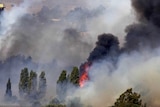 Smoke billows from Golan Heights after clash between rebel and Syrian forces