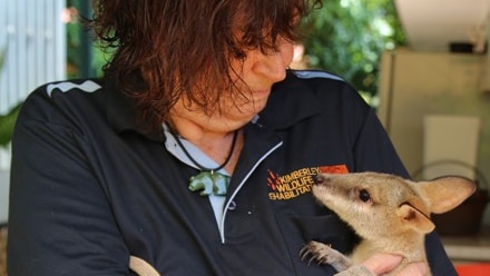 Jan Martin with an orphaned joey at her wildlife rescue centre in WA's Kimberley.