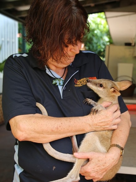Jan Martin with an orphaned joey at her wildlife rescue centre in WA's Kimberley.