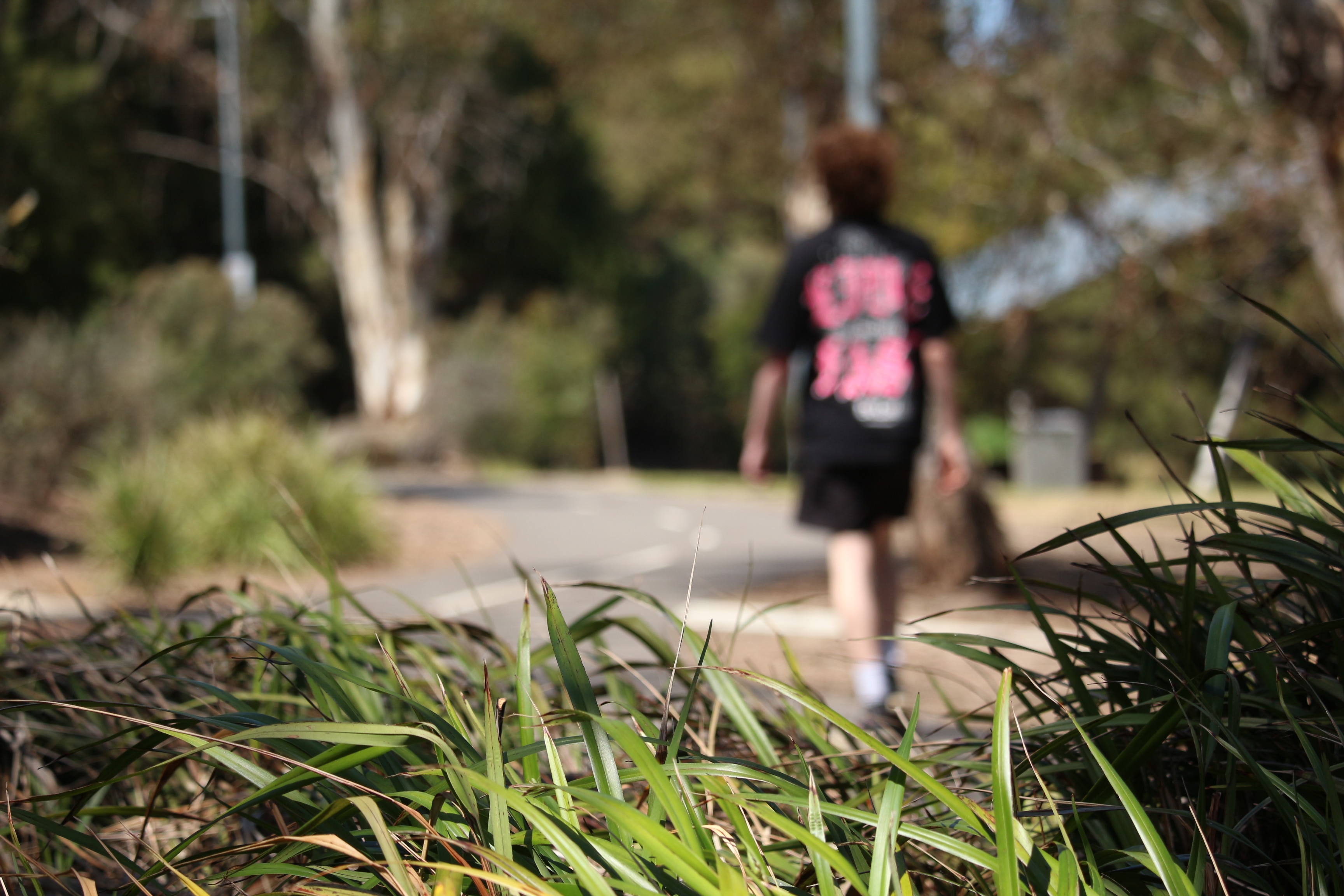 Experiences of homophobia ‘happening every day’ in Australia’s most progressive city – abc.net.au