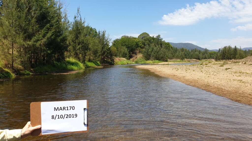 High E. coli levels recorded at two popular swimming spots along