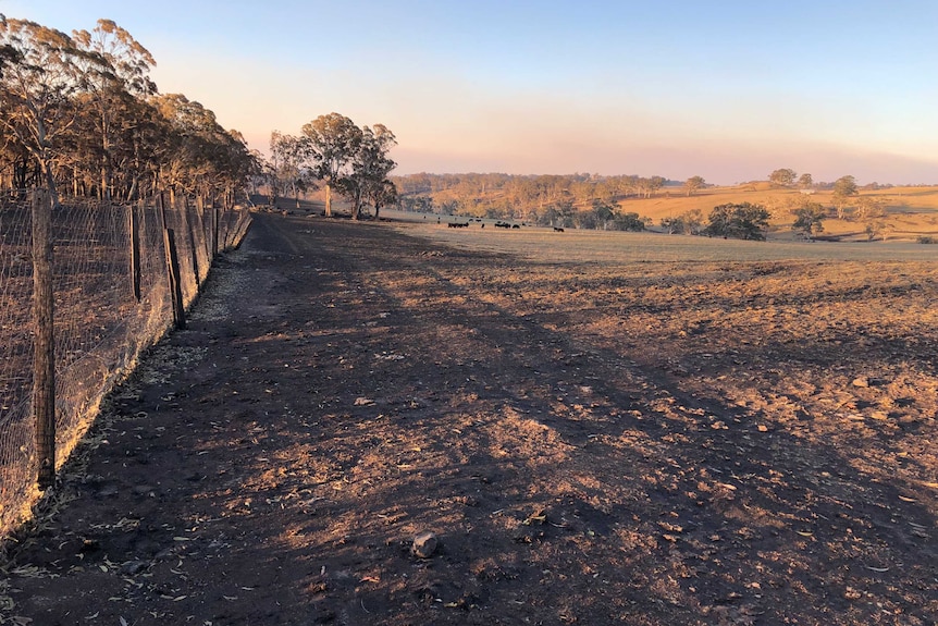 looking along a fence line showing burnt-out paddocks