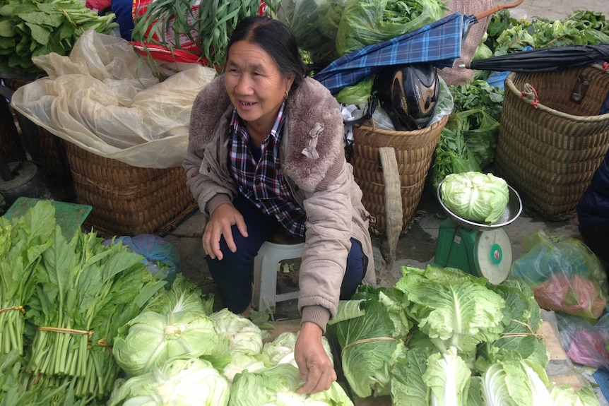Vietnamese lady Lu Thi Cot wearing a brown coat sells her cabbages on the ground at the Bac Ha markets in Vietnam