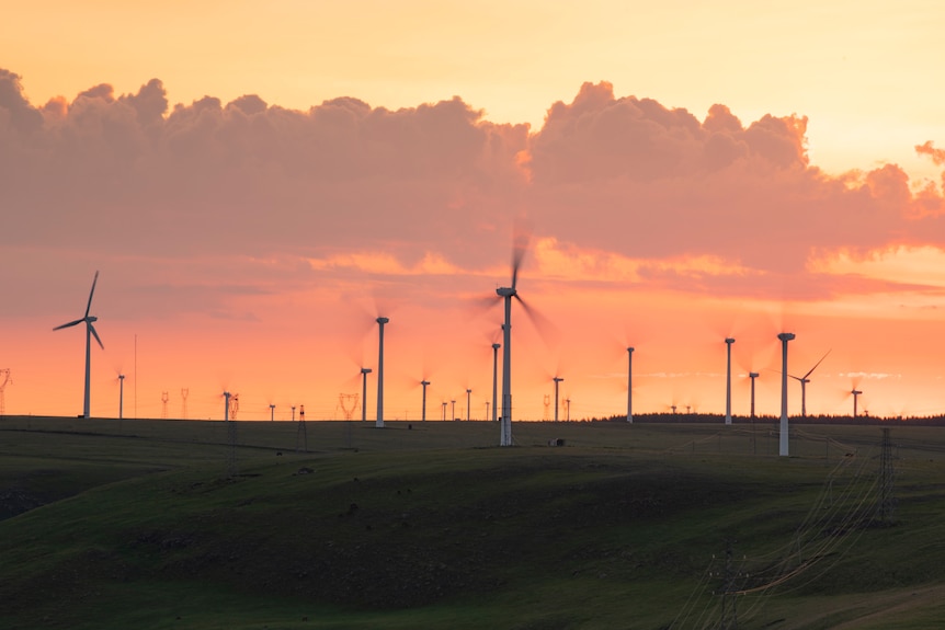 Wind power turbines silhouetted against a sunset.