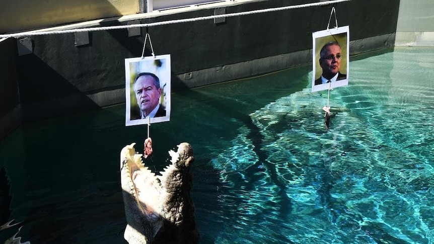 A crocodile jumps from the water and leaps up to a picture of Bill Shorten while a picture of Scott Morrison hangs to the right