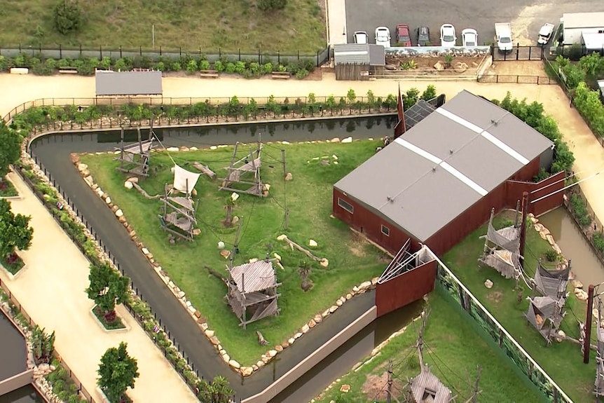 A large animal enclosure, with a building, pond and climbing frames, seen from above.