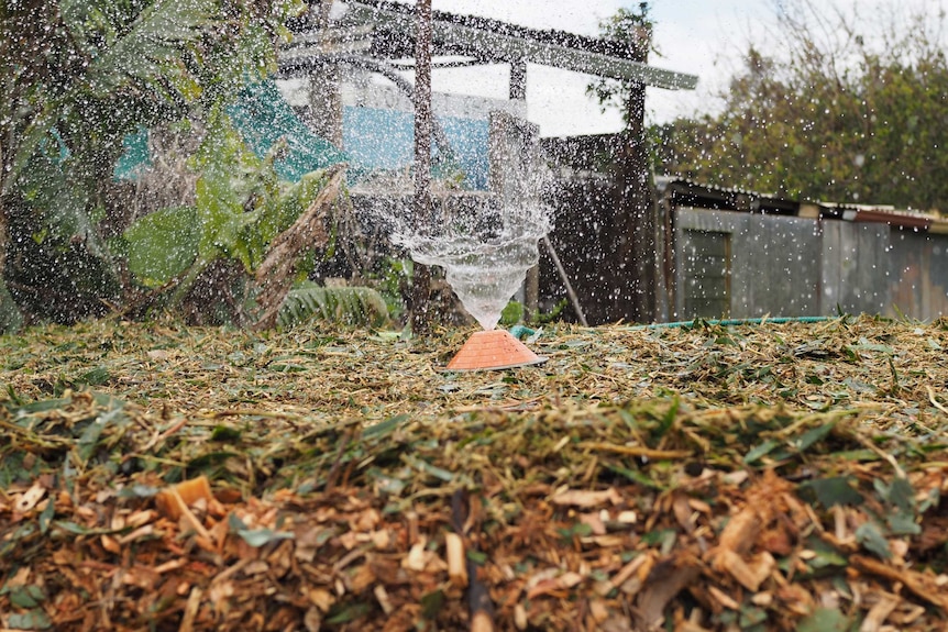 Water sprinkler on the compost heap