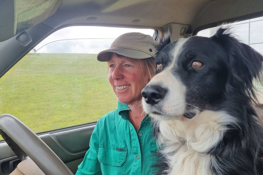 Lady and dog cruise through paddock in ute.