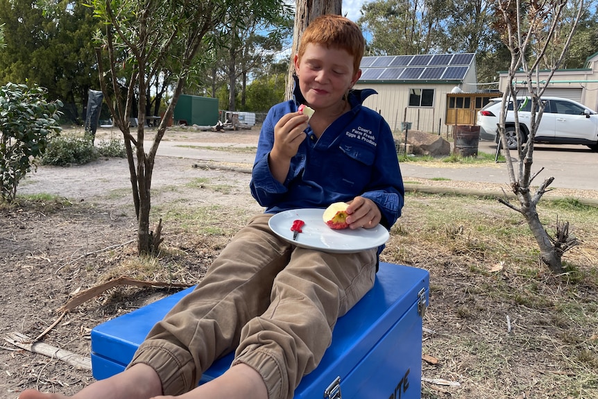 Young boy eating an apple