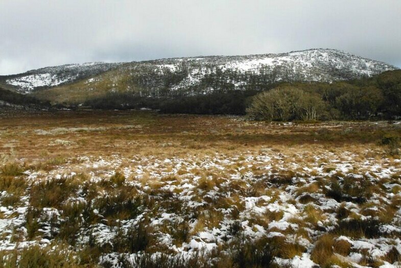 The first snow of the season has fallen in Namadgi National Park.