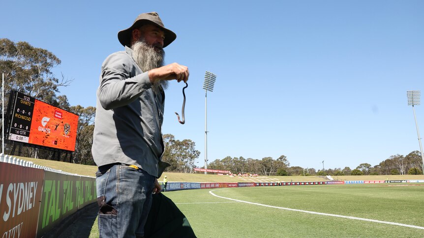 A bearded man in a hat holds a small snake in the air at a sports ground, with a scoreboard in the background.   