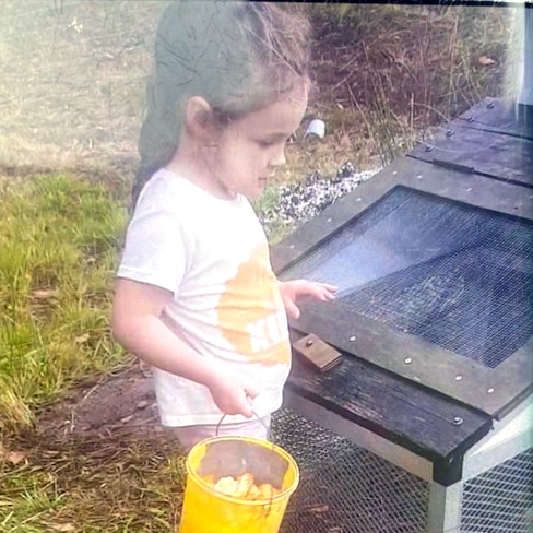 A young girl holds a bucket containing scraps outside the cage of a pet.