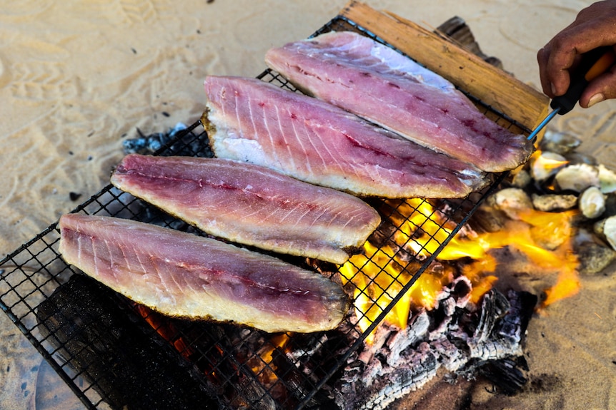 Fish filets on a grill above[ an open fire