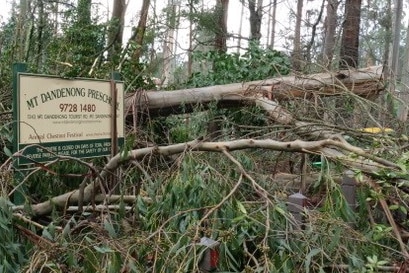 A sign saying Mount Dandenong preschool covered with broken branches and fallen trees.
