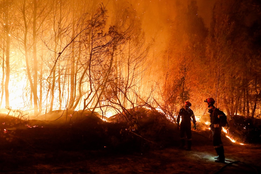 Two firefighters stand in front of a raging fire at night in a wooded area.