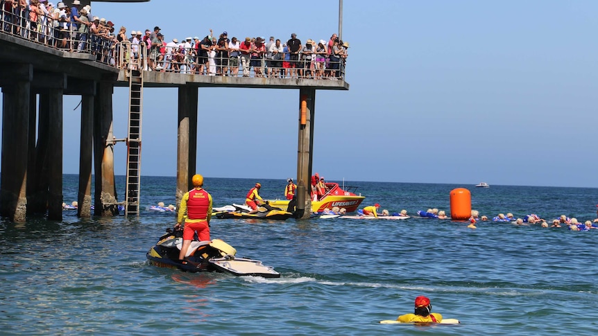 The Marilyns swim around the Brighton jetty.