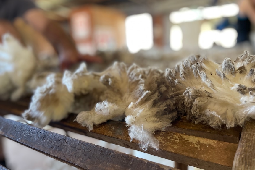 Wool sits on a  table