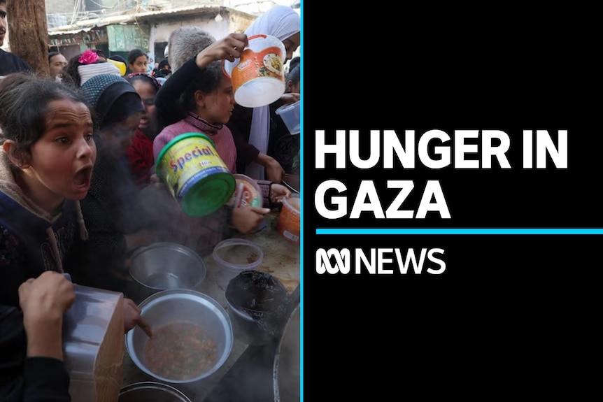 Hunger in Gaza: Palestinians line up for food in Gaza