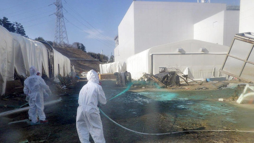 Japan's Fukushima Daiichi nuclear power plant