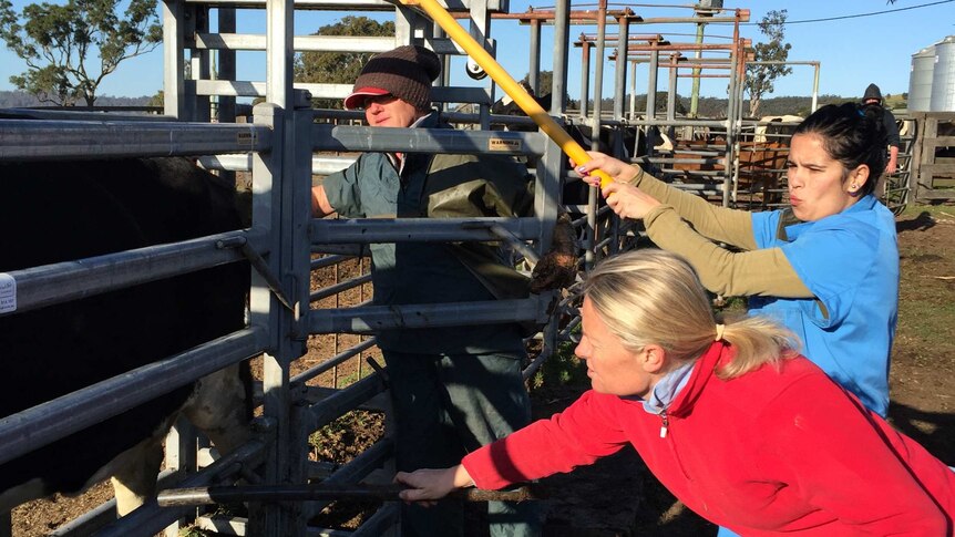 Brazilian vet undertaking work experience in the Bega Valley