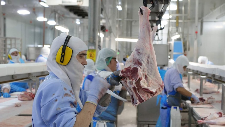 Man slicing a portion of lamb in an abattoir
